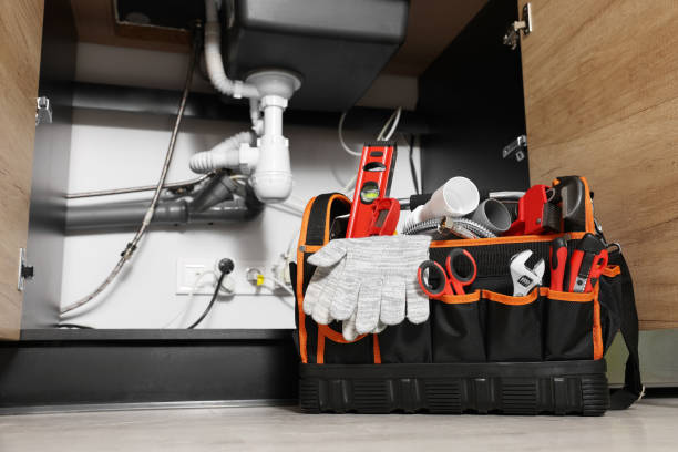 Best Affordable Plumbing Services  in Pine Manor, FL