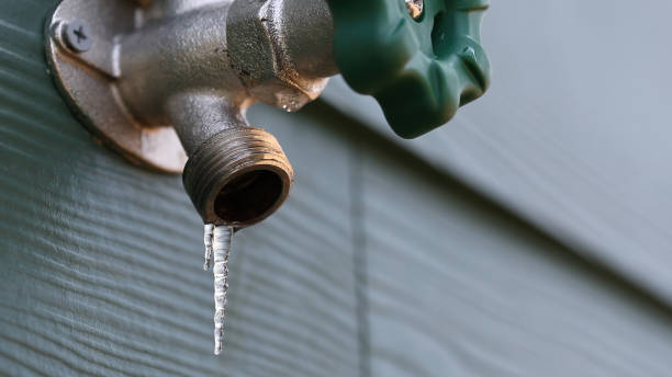 Best Same-Day Plumbing Service  in Pine Manor, FL