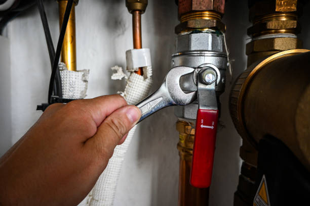 Best Toilet Repair Services  in Pine Manor, FL